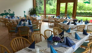 naturzoo rheine bistrozoo gedeckte tische