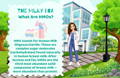 What Are HMOs? | The Milky Box