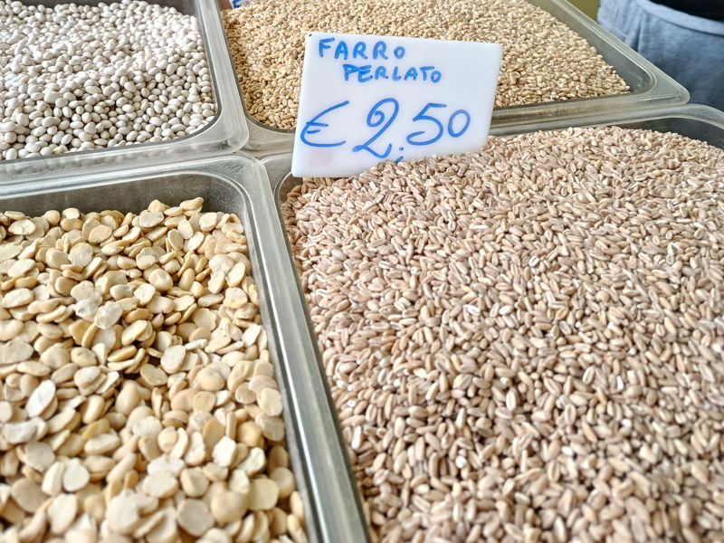 Cours de cuisine Bari: Minestrone et orge, des cocos d'hiver 