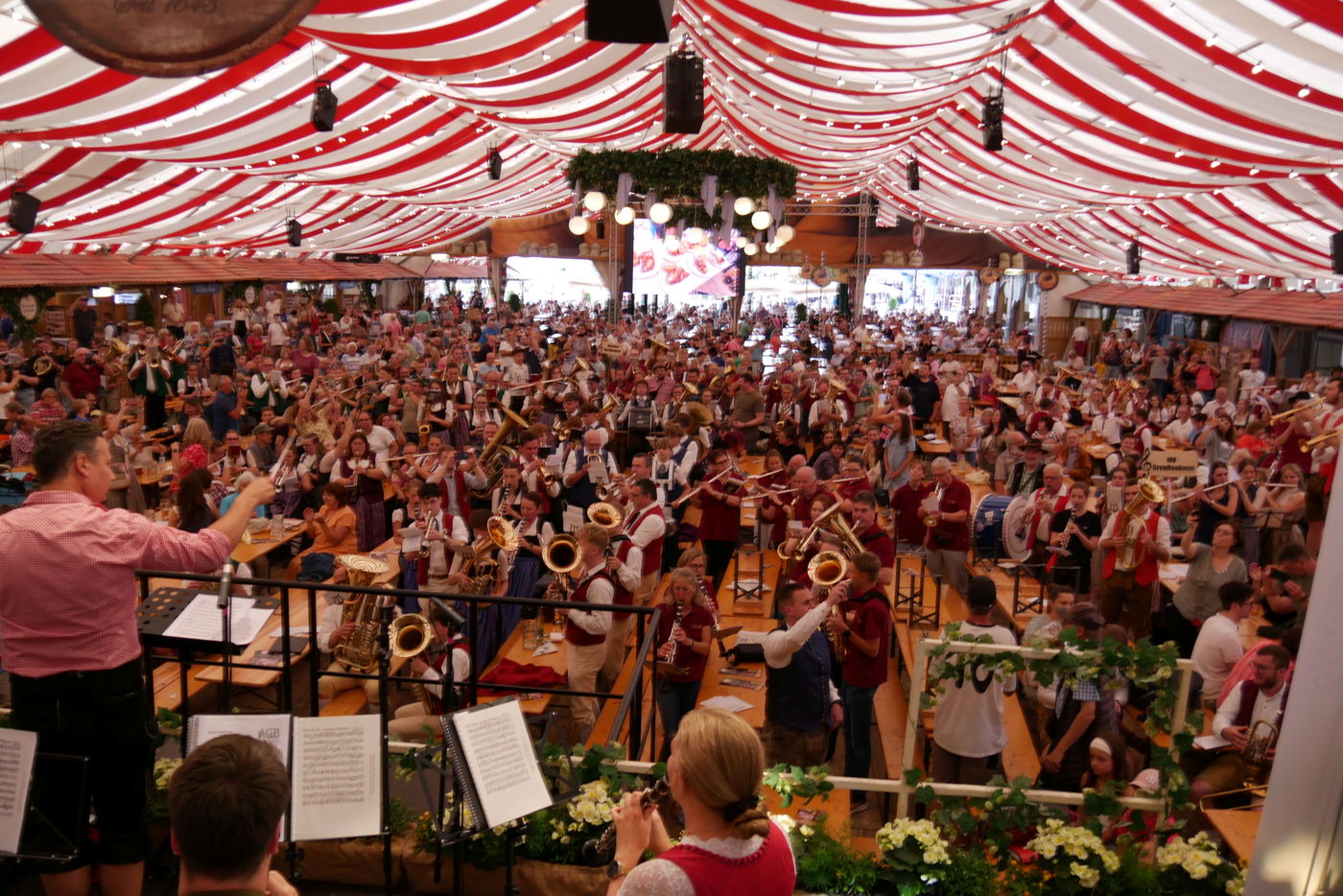 In einem Festzelt musizieren sehr viele Blasmusikerinnen und -musiker gemeinsam. Ein Dirigent steht vor ihnen auf einer Bühne. 