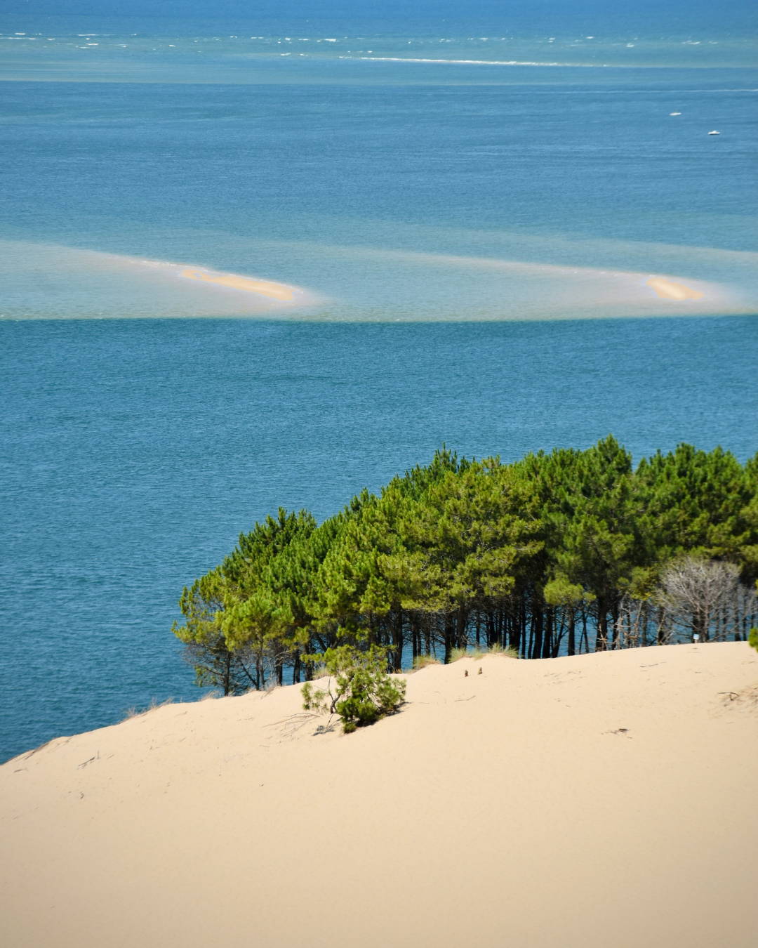 voyage - Bordeaux - bassin d'Arcachon - rando - roadtrip - vanlife - vue - dune du pilat