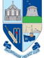 Balbriggan Cricket Club logo