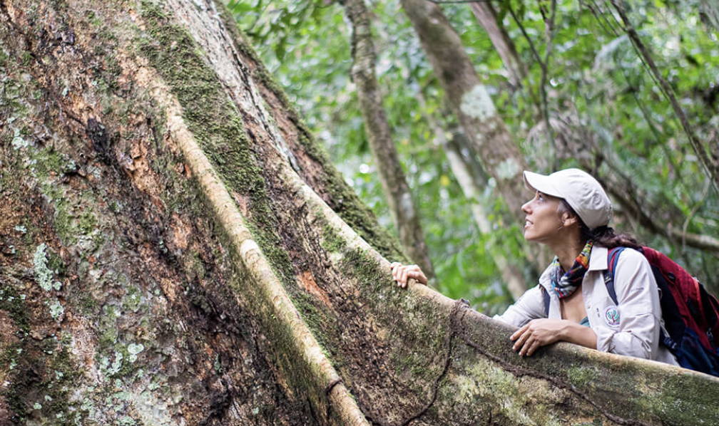 Meet forestry engineer Tatiana Espinosa, who is working to fight deforestation in the Amazon Rainforest.