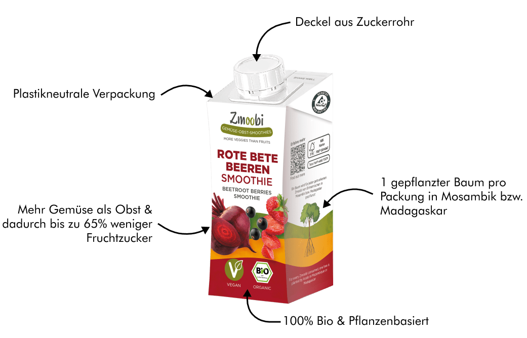 Bio Gemüse Obst Smoothie mit Ingwer