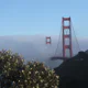 Why the San Francisco Bay area is almost certainly the capitol of the RIA business