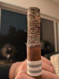 Nice ash
