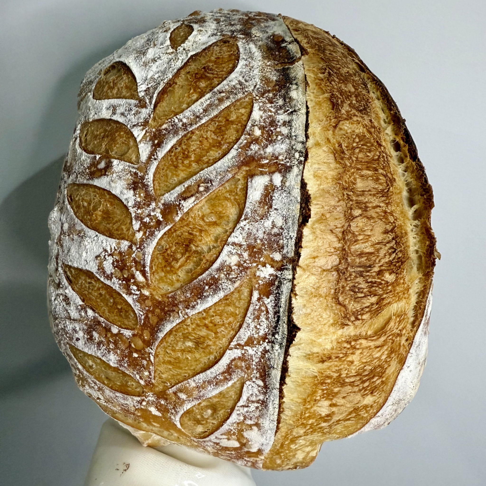Shayna | Homemade Sourdough — photo from hotplate.com