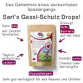 VierBeinerGlück Gassi-Schutz Drops: Das Geheimnis eines zeckenfreien Spaziergang