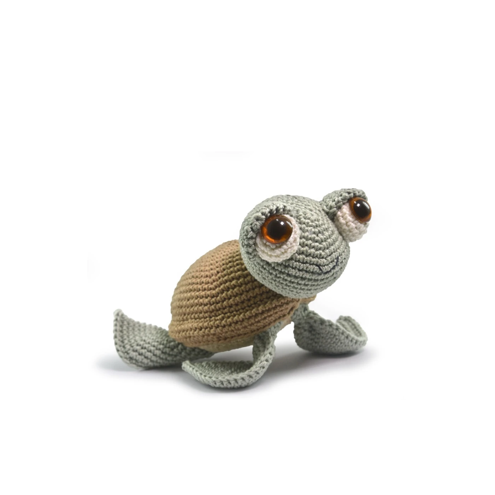 Sea Turtle