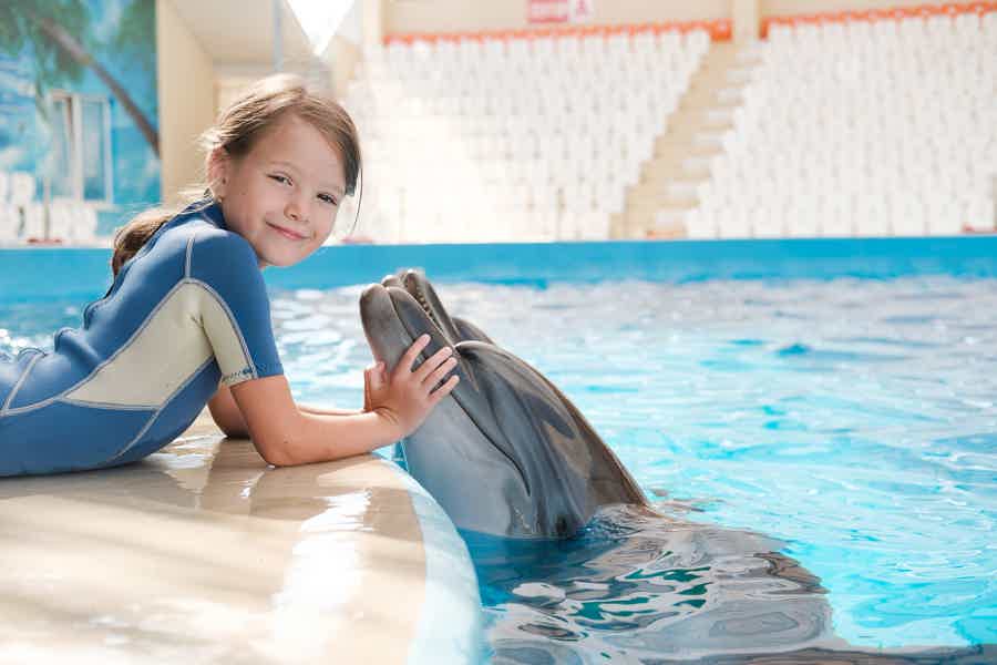 Swimming with dolphins in Antalya from Belek - photo 2