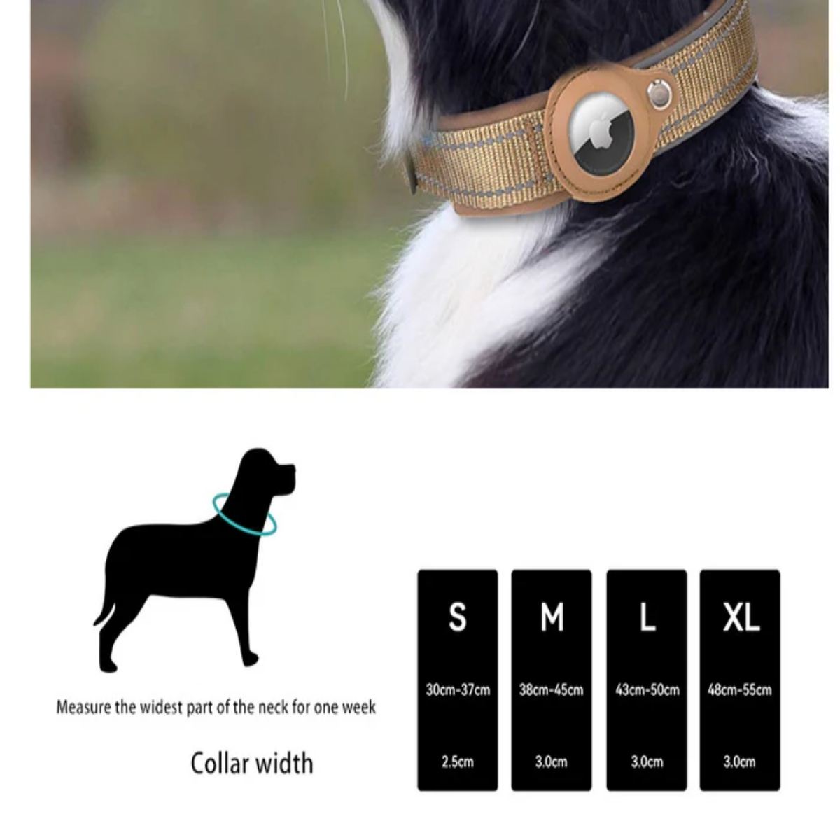 Purple Secure Nylon Dog Collar with Built-in Apple AirTag (not included) Holder Case - Pet Tracker Accessory - Image 2