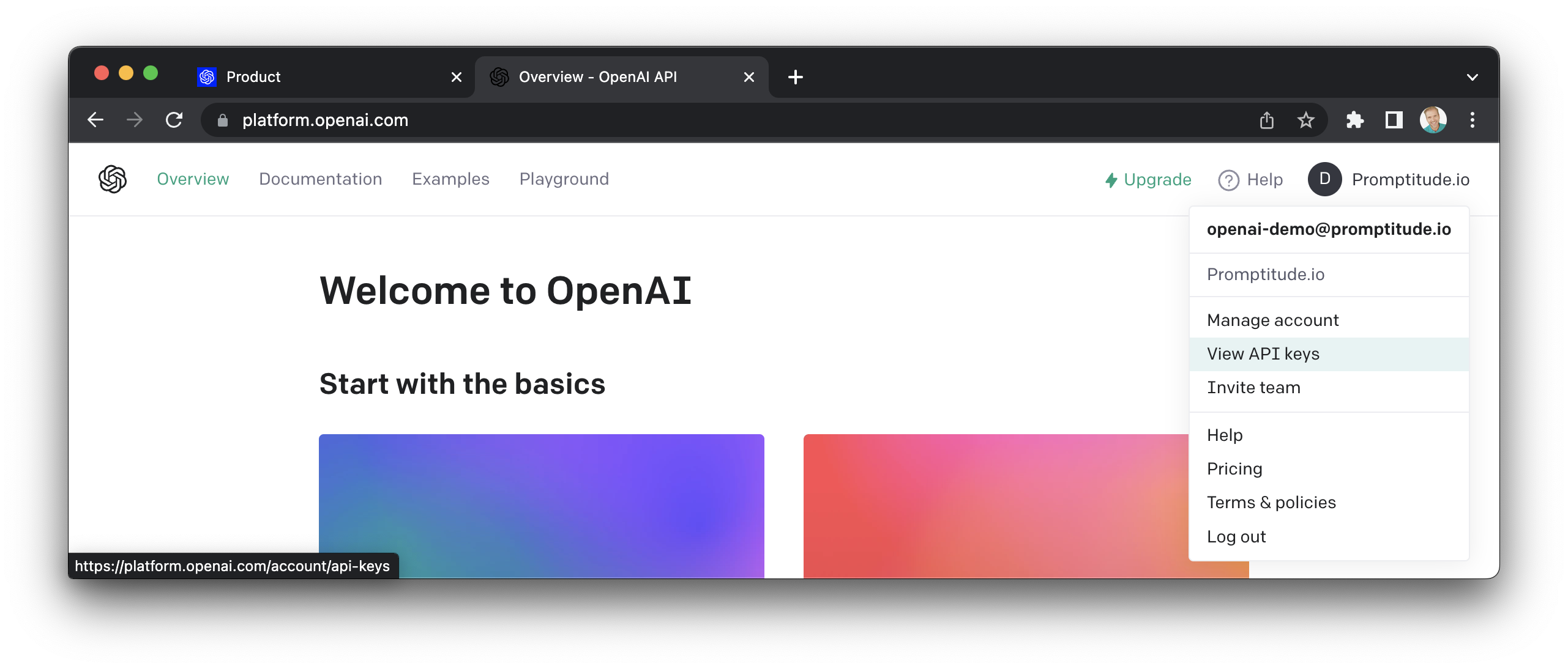 How to get your API Key for OpenAI