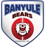 Banyule Cricket Club logo