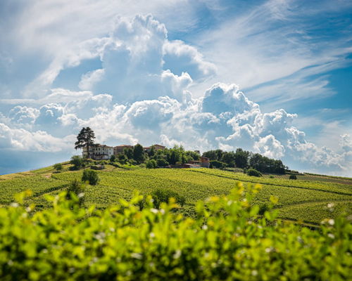 Food & Wine Tours Bosnasco: Oltrepò après ski
