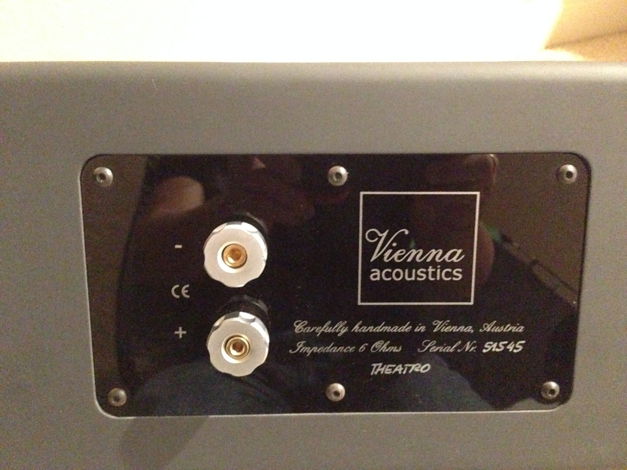Vienna Acoustic  Theatro Center Speaker