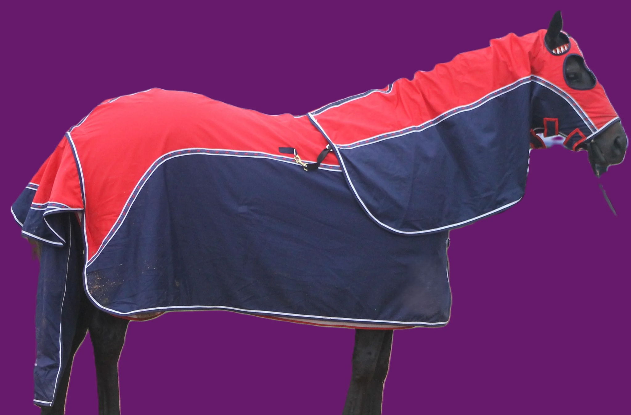 Twisted Retro - Image 2