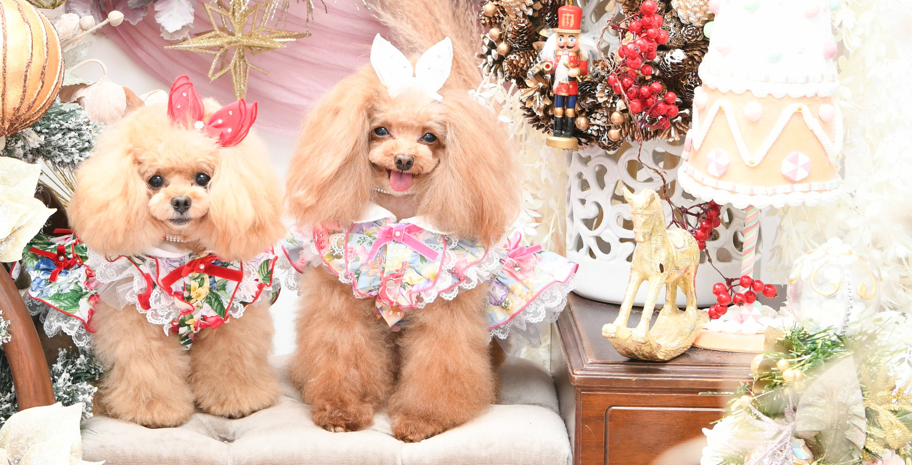 luxebirdie リュクスバーディ エクロージョンドレス SSサイズ① luxebirdie リュクスバーディ エクロージョンドレス SSサイズ①