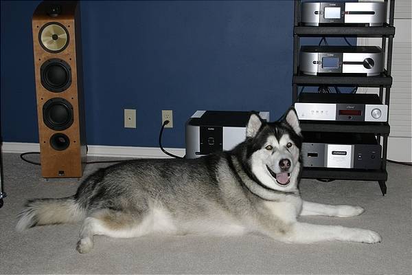 Big Woofer