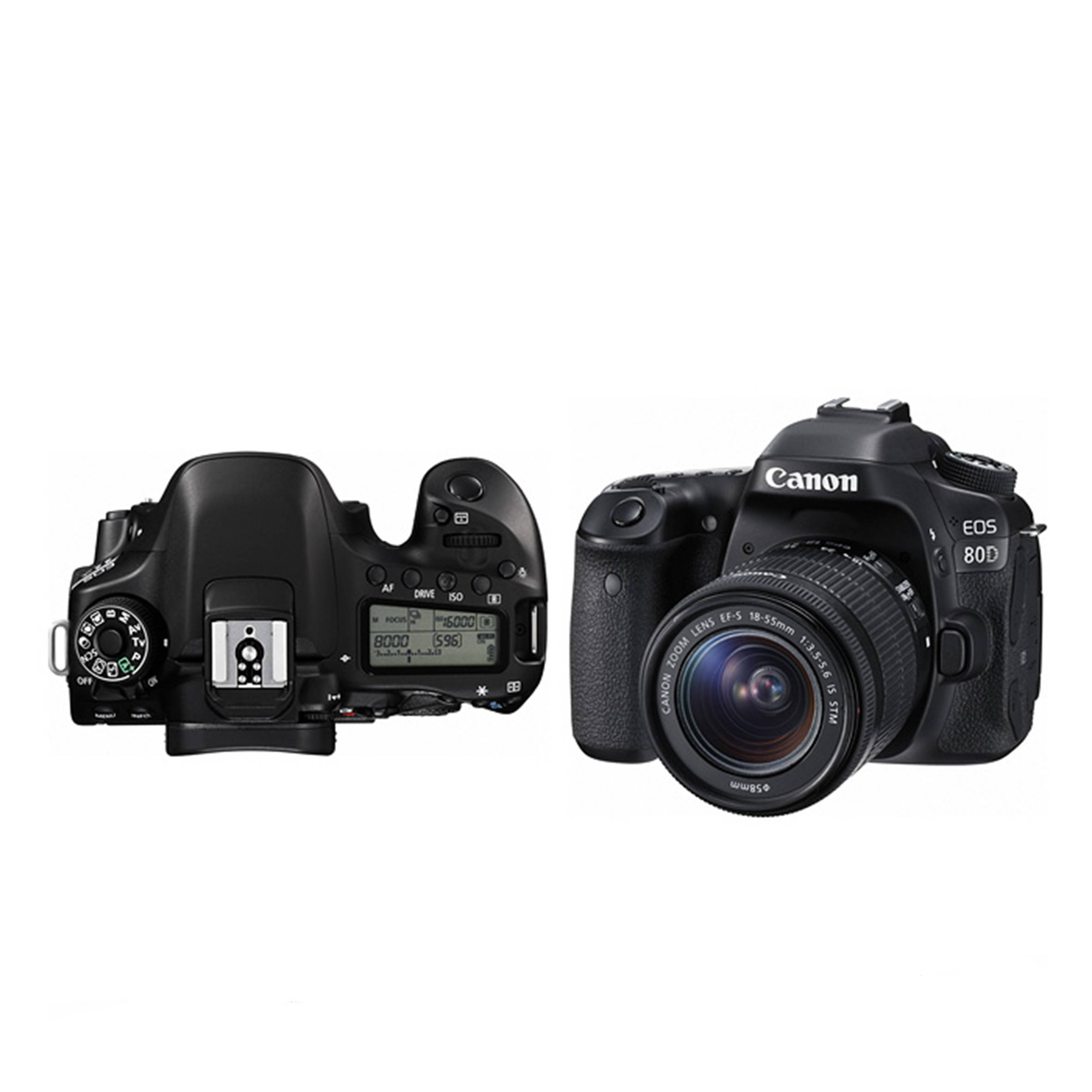 Canon EOS 80D 單機身 公司貨 免卡分期