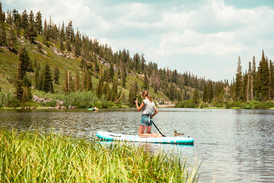 Funwater all around paddle board paddle for beginners in summer clearance deals