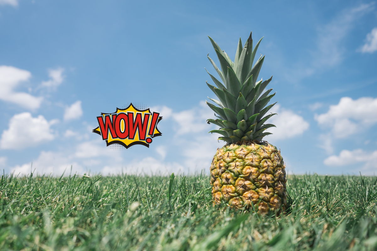An image of a pineapple with a watermark baked into it