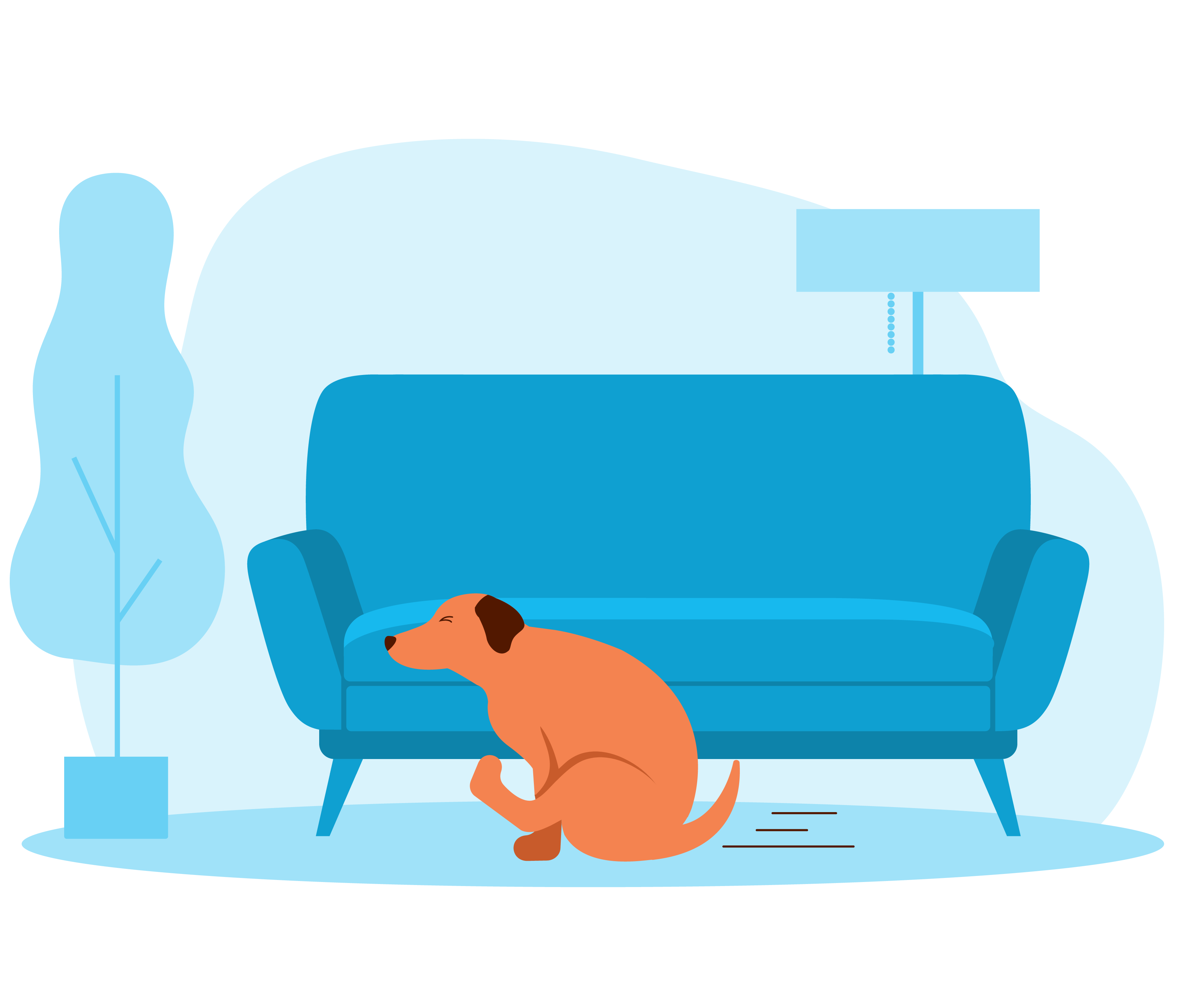 Dog scooting on the ground due to anal gland discomfort