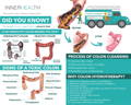 InnerHealth Colon cleansing infographic.