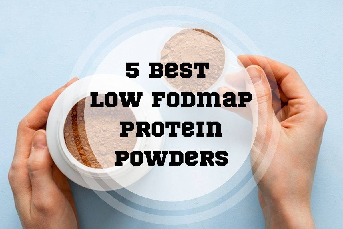 best low fodmap protein