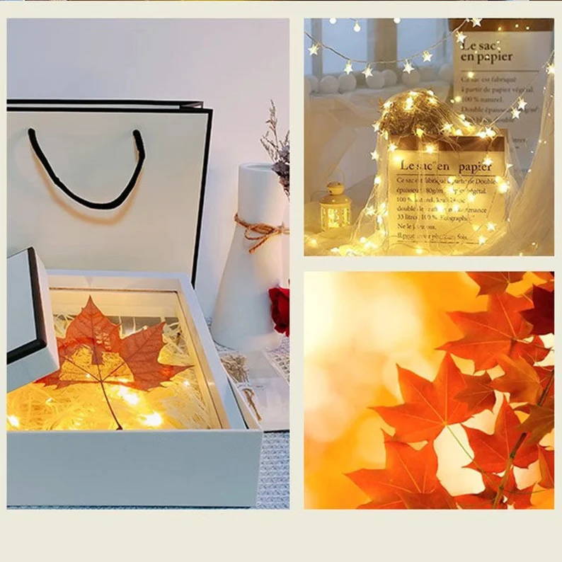 Ideas de grabado láser para el arte del tallado de hojas 10