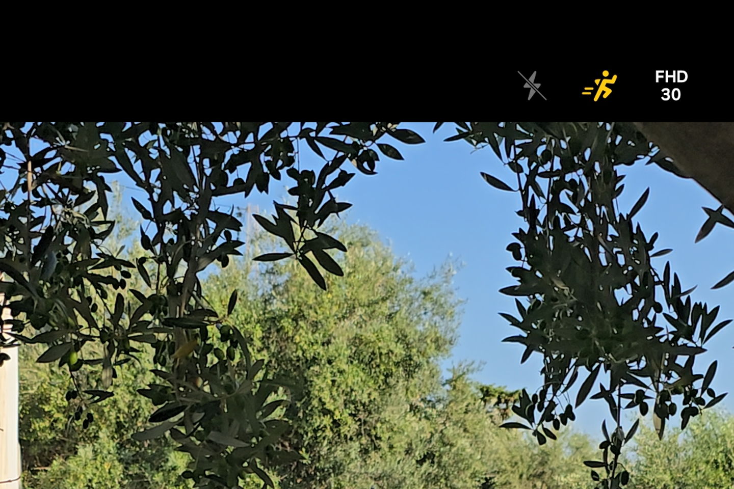 slider-image