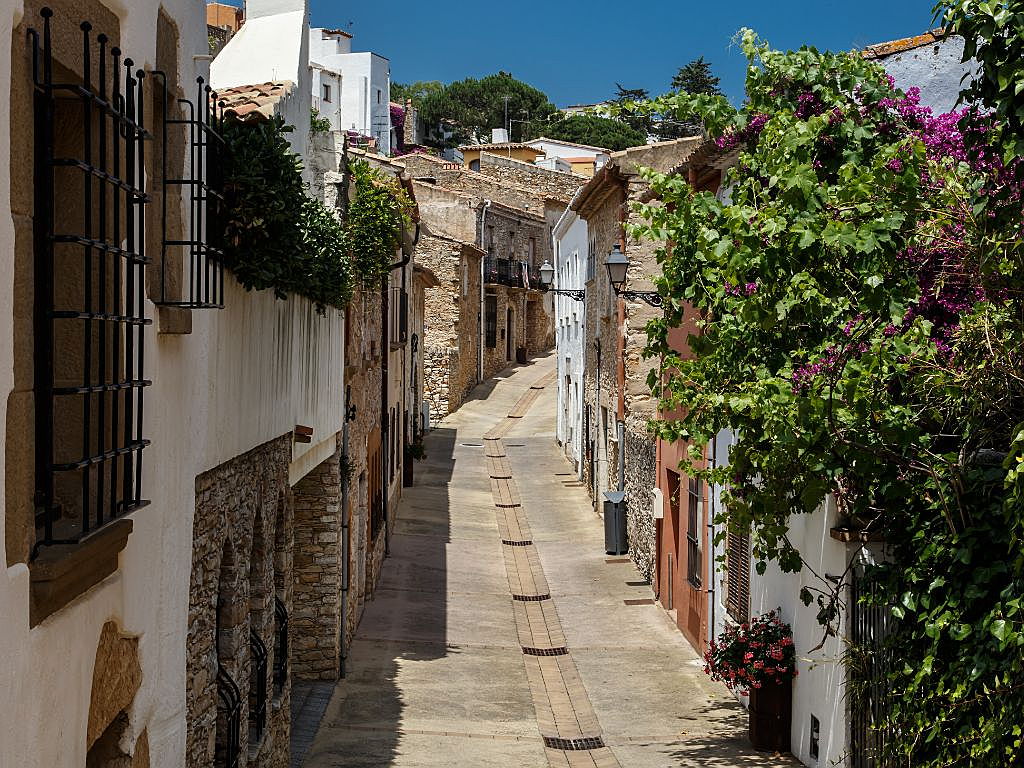  17220 Sant Feliu de Guíxols (Girona)
- Diseño sin título.jpg