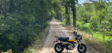 2022 HONDA MONKEY ABS motorcycle for rent near Dallas, TX