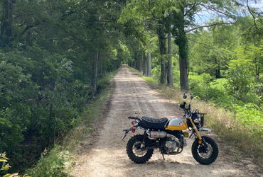 2022 HONDA MONKEY ABS motorcycle for rent near Dallas, TX