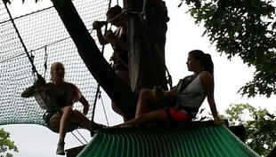 treetree entspannen auf dem baum