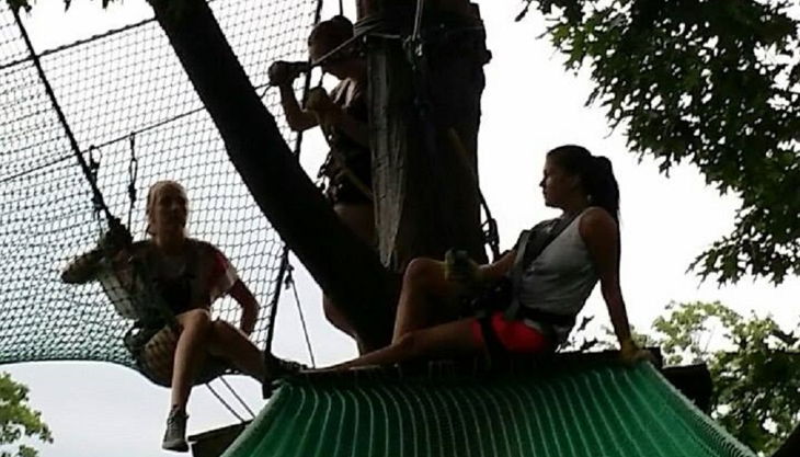 treetree entspannen auf dem baum