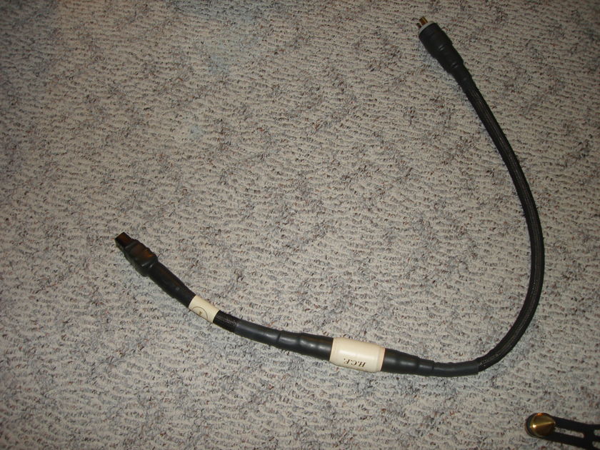 Custom Power cord Top Gun HCFI