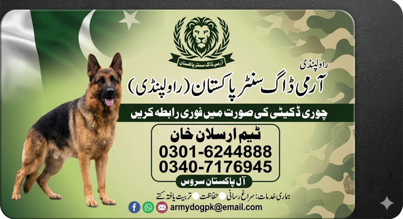 https://ucarecdn.com/038fdd3f-2a98-42ab-b9ca-b8b8e291d508/ cover