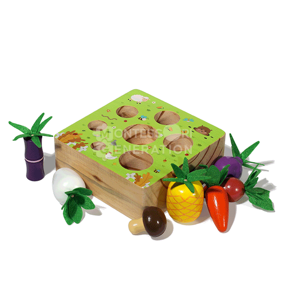 Montessori Vegetable Set for 1-year-olds and toddlers — image 1 of 5