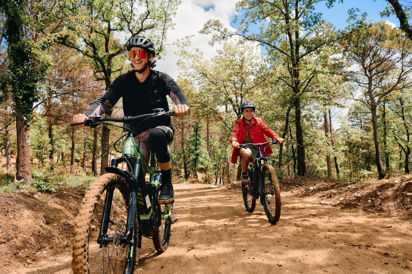 mountain bike elettrica