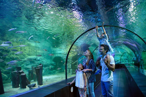 Istanbul Aquarium Florya with Transfer