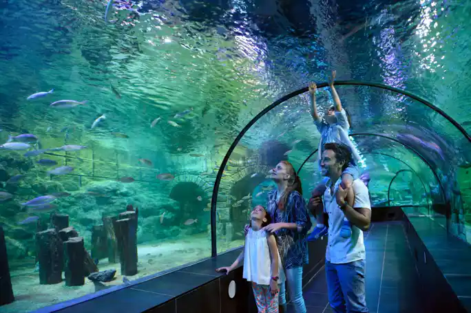 Istanbul Aquarium Florya with Transfer