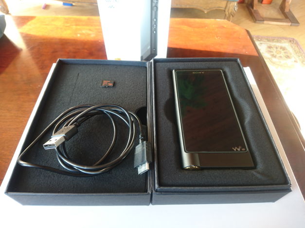 Sony NW-ZX2 Music Player + Leather Case + Screen cover ...