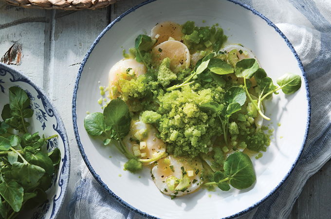 Scallop Ceviche with Cucumber Granita