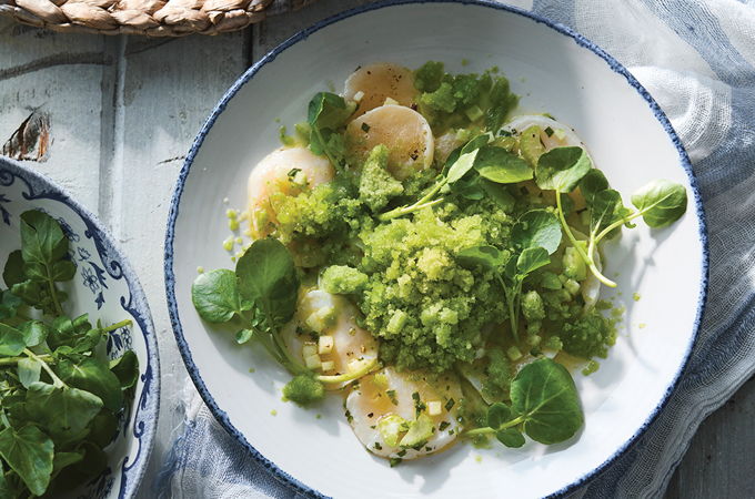 Ceviche de pétoncles et granité de concombres