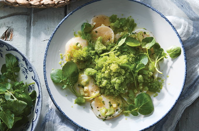 Ceviche de pétoncles et granité de concombres
