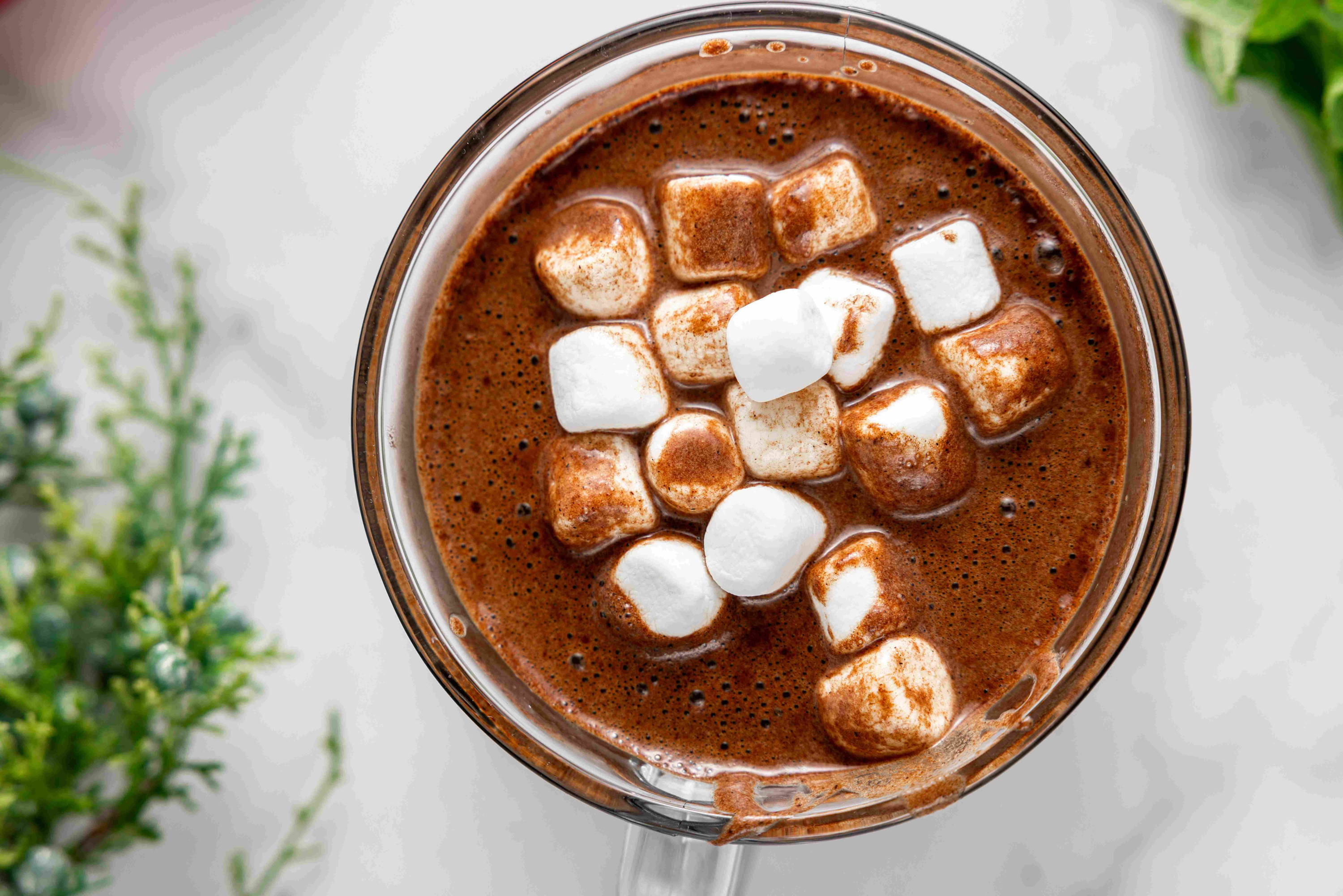 Vegan and Gluten Free Peppermint Hot Cocoa Mocha Recipe