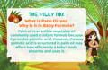 What Is Palm Oil and Why Is It in Baby Formula? | The Milky Box