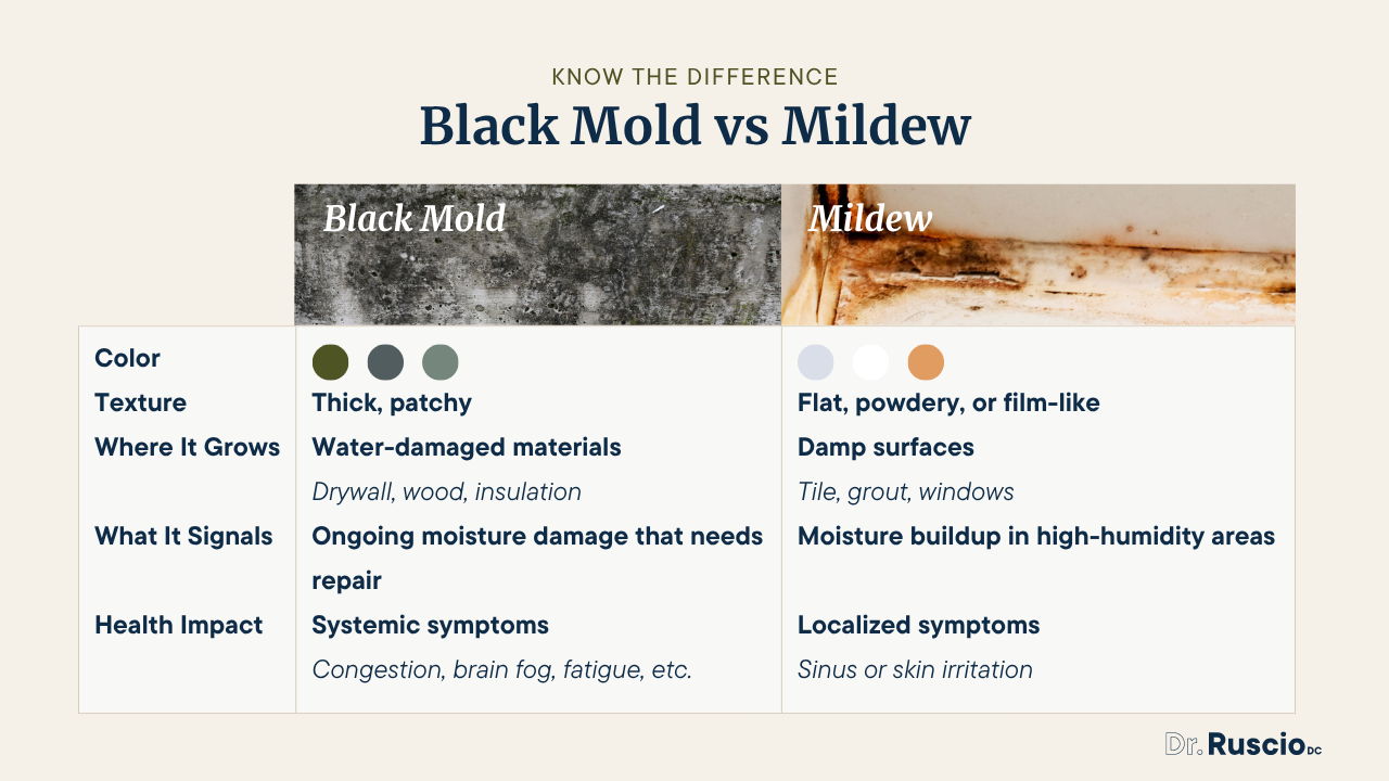 Black Mold vs. Mildew: How to Tell, Symptoms, and What To Do -