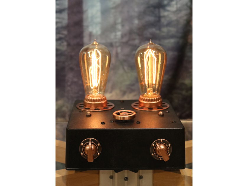 Fleawatt Audio The Edison Lamp Amp Integrated Amp