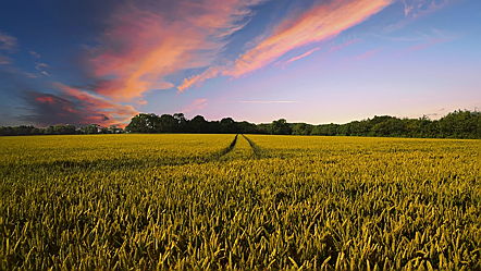  Laveno M.
- Countryside.jpg